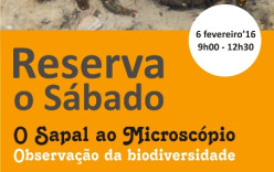 “Reserva o Sábado” vê “O Sapal ao Microscópio – Observação da Biodiversidade” “Reserva o Sábado” vê “O Sapal ao Microscópio – Observação da Biodiversidade”