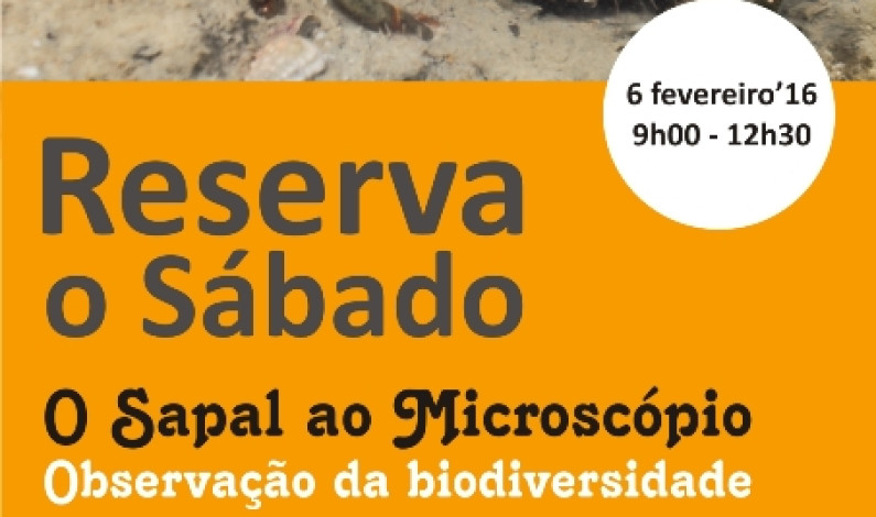 “Reserva o Sábado” vê “O Sapal ao Microscópio – Observação da Biodiversidade” “Reserva o Sábado” vê “O Sapal ao Microscópio – Observação da Biodiversidade”