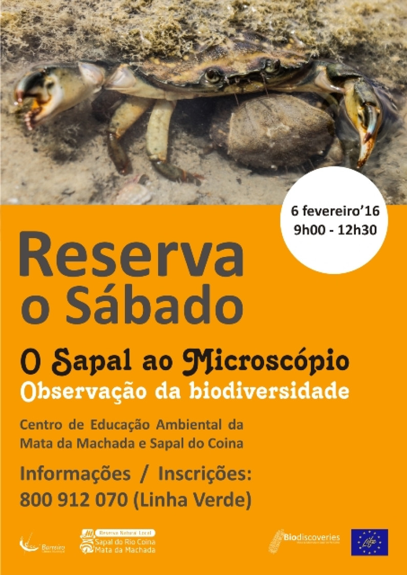 “Reserva o Sábado” vê “O Sapal ao Microscópio – Observação da Biodiversidade” “Reserva o Sábado” vê “O Sapal ao Microscópio – Observação da Biodiversidade”