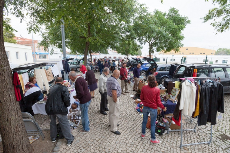 Câmara da Moita convida: “Abra a Bagageira” na Marginal Câmara da Moita convida: “Abra a Bagageira” na Marginal