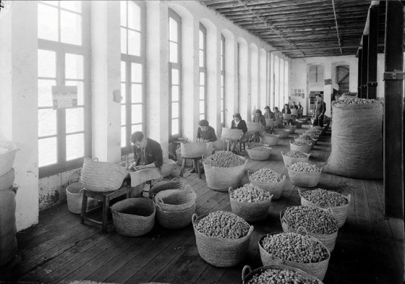 Fábrica da Robinson em debate no próximo sábado na Casa do Alentejo  Fábrica da Robinson em debate no próximo sábado na Casa do Alentejo