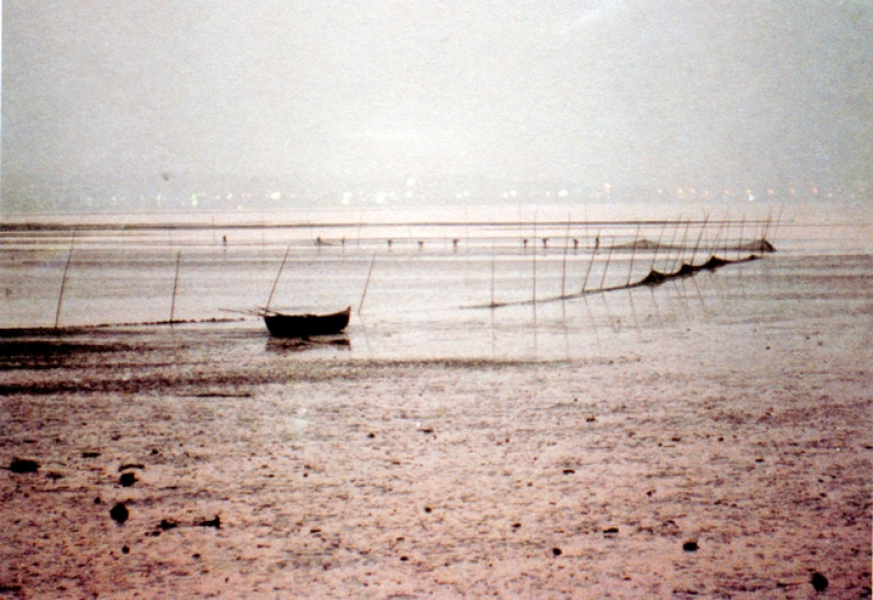 A Arte do Cerco A Arte do Cerco